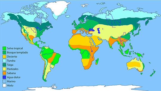 Mapas de biomas del mundo