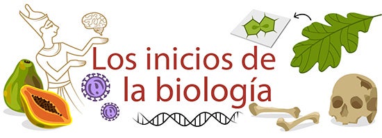 Los inicios de la biologia