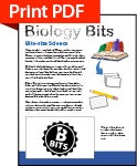 descarga el pdf para imprimir fácil